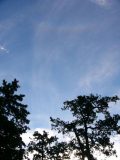 Circumzenithal Arc