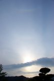 Circumzenithal Arc and 22-degree Halo