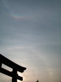 Circumzenithal Arc, Upper Tangent Arc, Parhelion and 22-degree Halo