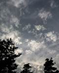 Circumzenithal Arc and 22-degree Halo