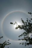 Splendid 22-degree Halo (and Circumscribed Halo)