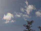 Iridescent Cloud