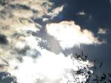 Iridescent Cloud
