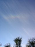 46-degree Halo or Supralateral Arc