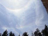 Circumhorizontal and Infralateral Arc (or 46-degree Halo) and 22-degree halo