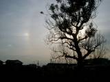 Parhelion (and 22-degree Halo)