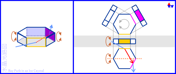 XH}: [EBbcA[N̕X̎pƌ̌oHA