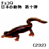 Sword Tailed Newt