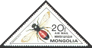 Scott:C129