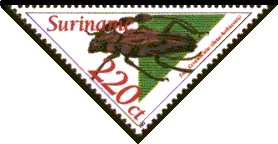 Scott:953