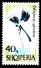 Scott:926
