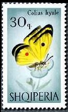 Scott:924