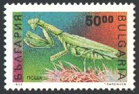 Scott:3718A