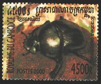Scott:1937