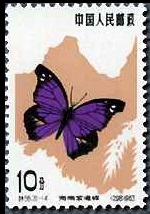 Scott:674