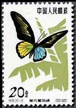 Scott:676