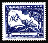Scott:254v