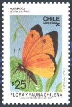 Scott:758e