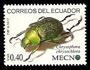 Scott:1889a