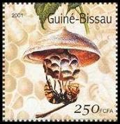 Scott:1514A