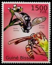 Michel:BL871