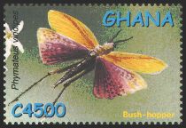Scott:2337a