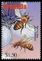 Scott:3296a