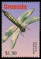 Scott:3296b