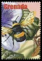 Scott:3296d