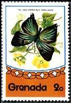Scott:662
