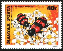 Scott:2625