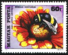 Scott:2626