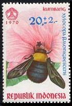 Scott:B225