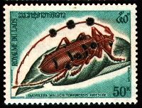 ラオス切手 甲虫 昆虫 王国 1968 全5種 NH オオルリ玉虫 ລາວ