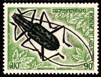 ラオス切手 甲虫 昆虫 王国 1968 全5種 NH オオルリ玉虫 ລາວ