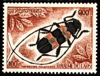 ラオス切手 甲虫 昆虫 王国 1968 全5種 NH オオルリ玉虫 ລາວ