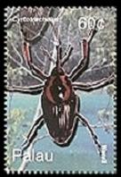 Scott:719b