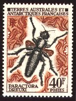 仏領南方・南極地域の昆虫切手