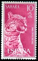 Scott:B60