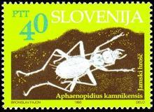 1104F69 外国切手 昆虫切手 ソロモン諸島 スロベニア