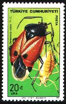 Scott:B181