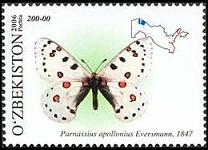 ハニングトンウスバシロチョウ クロホシウスバシロチョウ (Parnassius mnemosyne) - Picture Insect