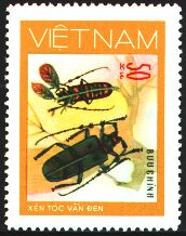 Scott:SG153