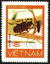 Scott:SG154