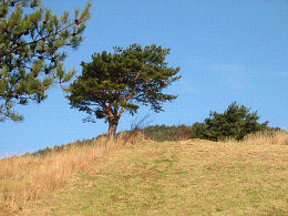 ǂi