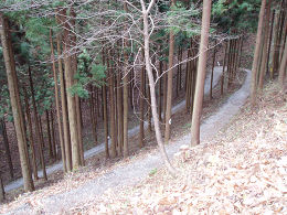 Ȗ