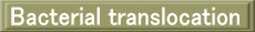 Bacterial translocation