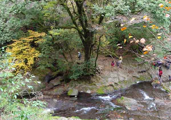 Kikuchi glen in autumn colors