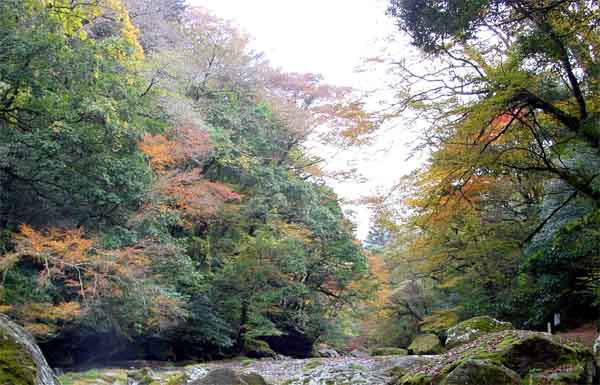 Kikuchi Glen in Autumn Colors