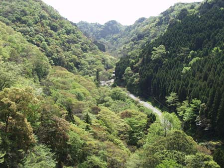 Kikchi Glen in New Green
